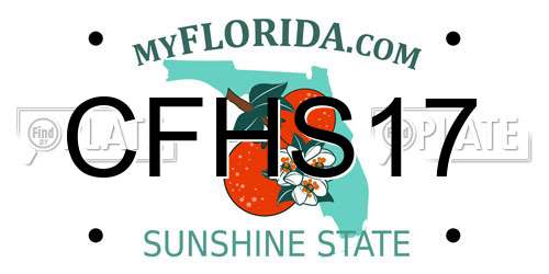 CFHS17 Florida License Plate