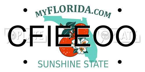 CFIEEOO Florida License Plate