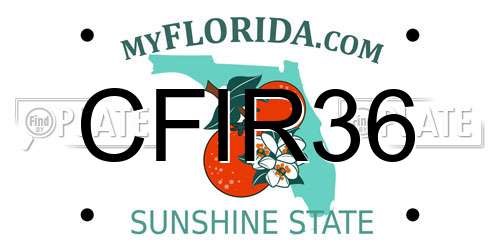 CFIR36 Florida License Plate