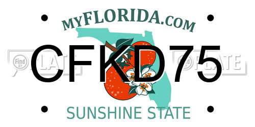 CFKD75 Florida License Plate