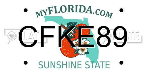 CFKE89 Florida License Plate