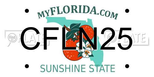 CFLN25 Florida License Plate