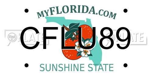 CFLU89 Florida License Plate