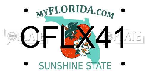 CFLX41 Florida License Plate