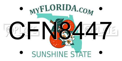 CFN8447 Florida License Plate
