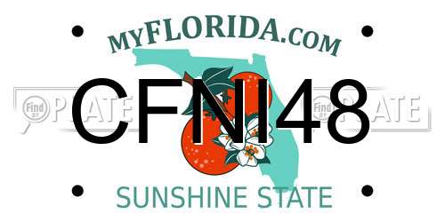 CFNI48 Florida License Plate