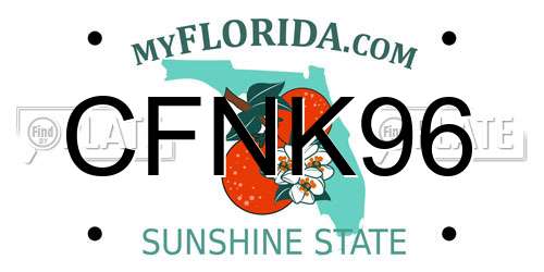 CFNK96 Florida License Plate