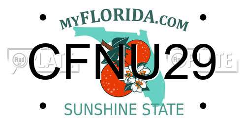 CFNU29 Florida License Plate