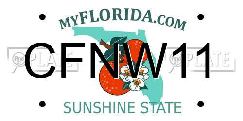 CFNW11 Florida License Plate