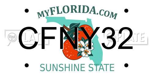 CFNY32 Florida License Plate