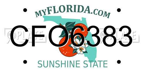CFO6383 Florida License Plate