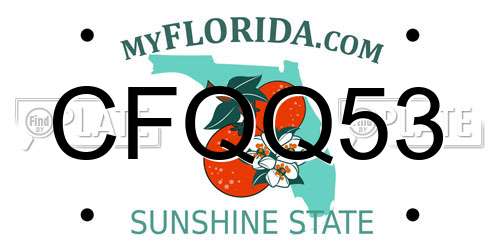 CFQQ53 Florida License Plate