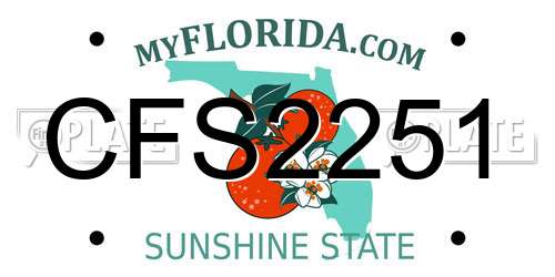 CFS2251 Florida License Plate