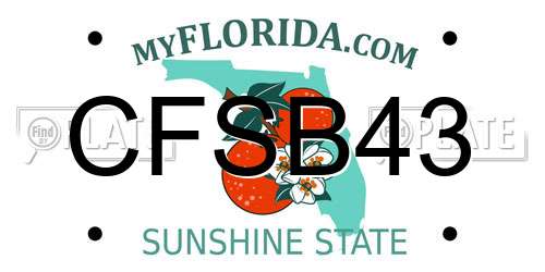 CFSB43 Florida License Plate