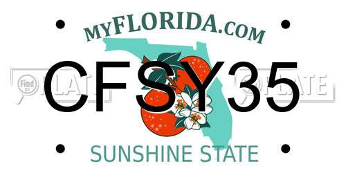 CFSY35 Florida License Plate