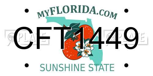 CFT1449 Florida License Plate