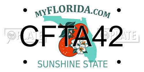 CFTA42 Florida License Plate