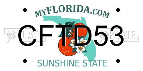 CFTD53 Florida License Plate