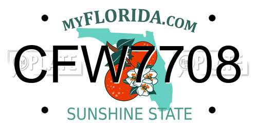 CFW7708 Florida License Plate