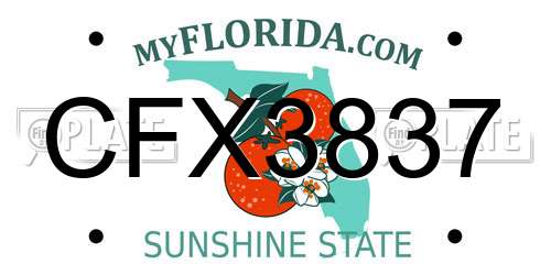 CFX3837 Florida License Plate