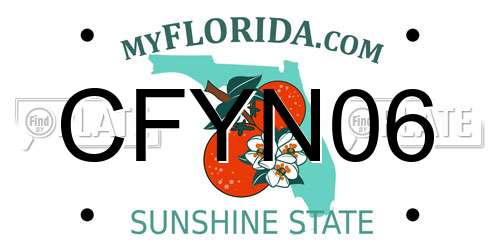 CFYN06 Florida License Plate