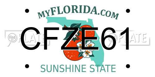 CFZE61 Florida License Plate
