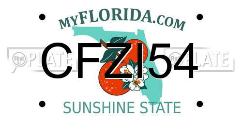 CFZI54 Florida License Plate