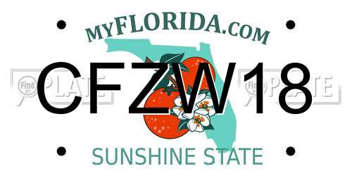 CFZW18 Florida License Plate
