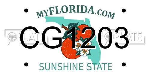 CG1203 Florida License Plate
