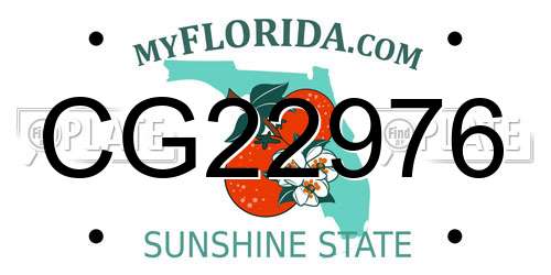 CG22976 Florida License Plate