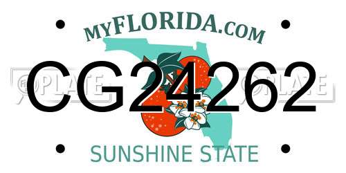 CG24262 Florida License Plate