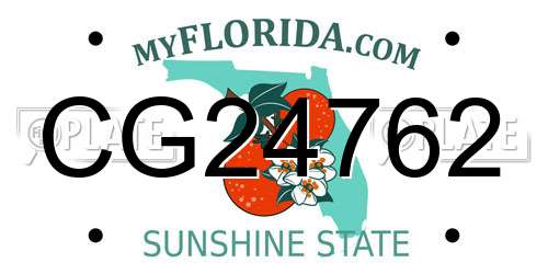 CG24762 Florida License Plate