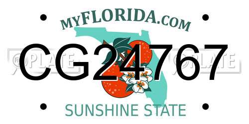 CG24767 Florida License Plate