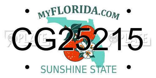 CG25215 Florida License Plate