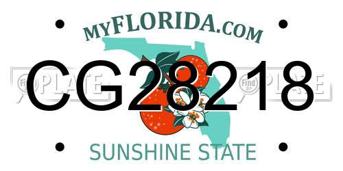 CG28218 Florida License Plate