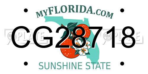 CG28718 Florida License Plate