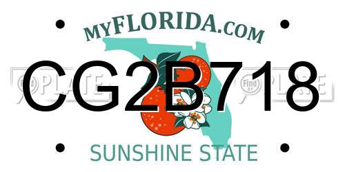CG2B718 Florida License Plate