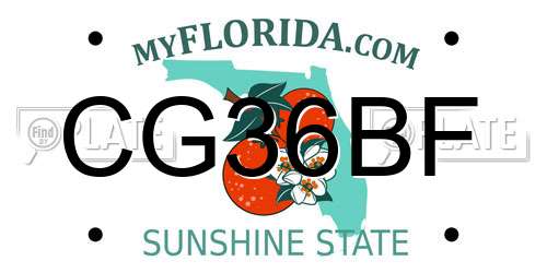 CG36BF Florida License Plate