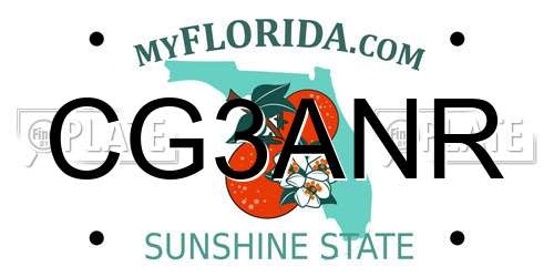 CG3ANR Florida License Plate