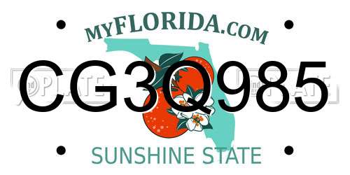 CG3Q985 Florida License Plate
