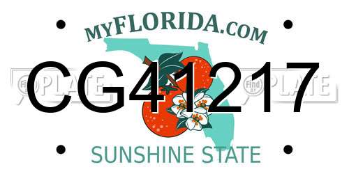 CG41217 Florida License Plate