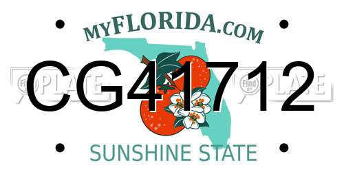 CG41712 Florida License Plate