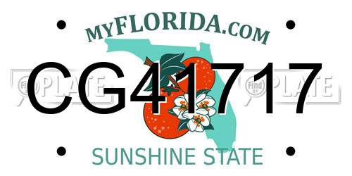 CG41717 Florida License Plate
