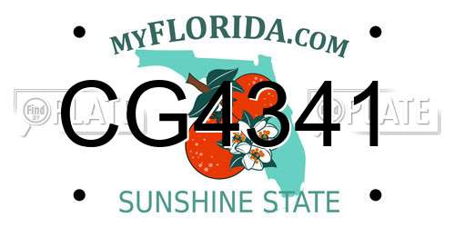CG4341 Florida License Plate