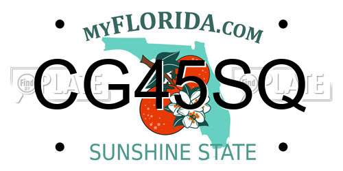 CG45SQ Florida License Plate