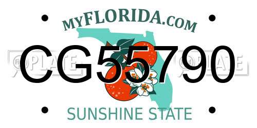CG55790 Florida License Plate