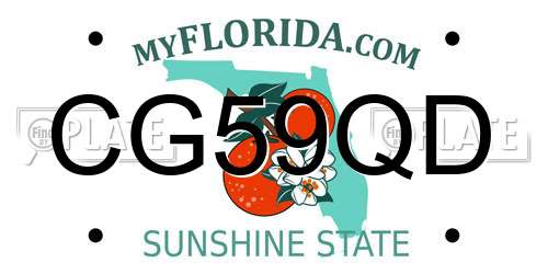 CG59QD Florida License Plate