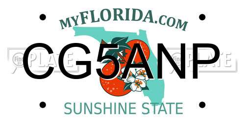 CG5ANP Florida License Plate