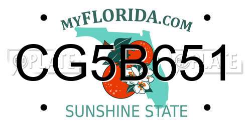 CG5B651 Florida License Plate