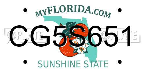 CG5S651 Florida License Plate
